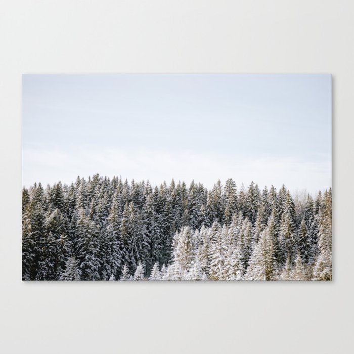 Snowy Treetops Canvas Print