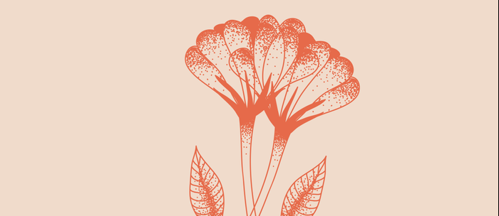 Illustration Tattoo Coffee Flower