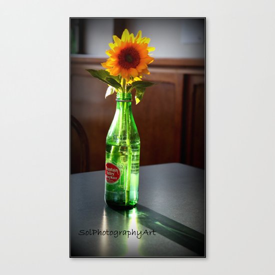 Girasol Canvas Print