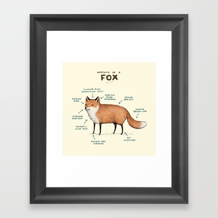 Anatomy of a Fox Framed Art Print