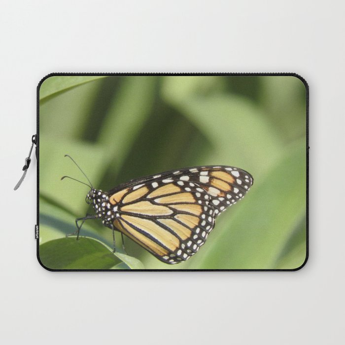 Mexico Photography - Beautiful Butterfly On A Plant Laptop Sleeve