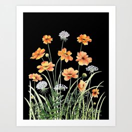 Wildflowers in Dark Background Art Print