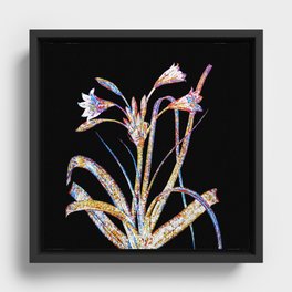 Floral Malgas Lily Mosaic on Black Framed Canvas