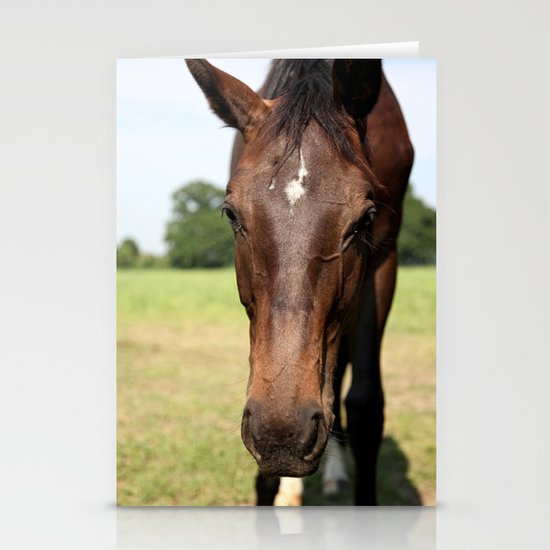 Horse Stationery Cards