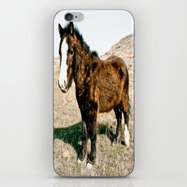 Mini Horse iPhone Skin