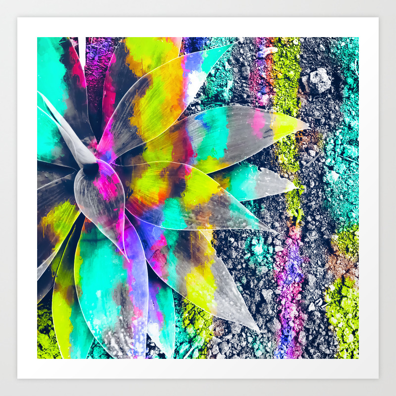 Succulent Plant With Painting Abstract Background In Green Pink
