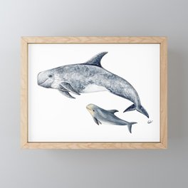 Risso´s Dolphin Framed Mini Art Print