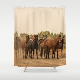 Wild Horses 6587 - Northwestern Nevada Shower Curtain