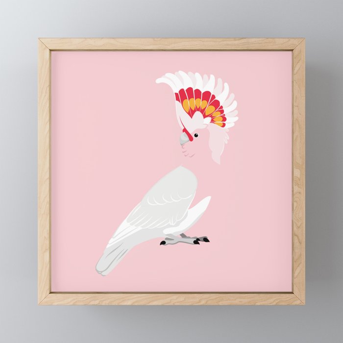 Major Mitchell's cockatoo Framed Mini Art Print