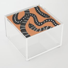 Two Snakes - Orange Acrylic Box