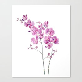 pinkish purple orchid flowers watercolor and ink  Canvas Print