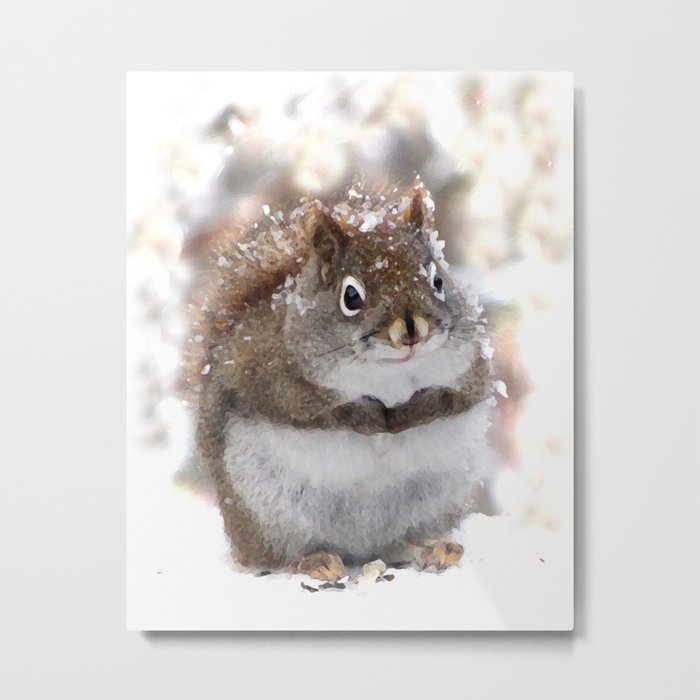 Sweet Squirrel Metal Print