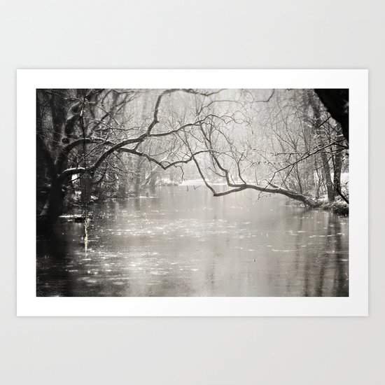French Creek Art Print