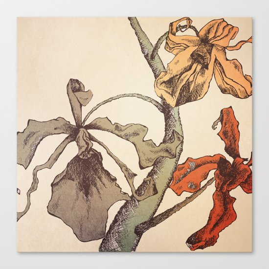 Hello Orchids Canvas Print