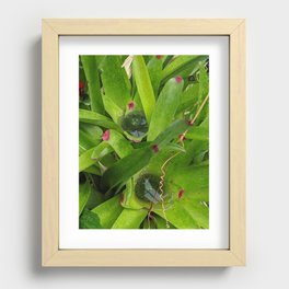 Collecting Pools Recessed Framed Print