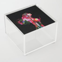 Colorful girl portrait Acrylic Box
