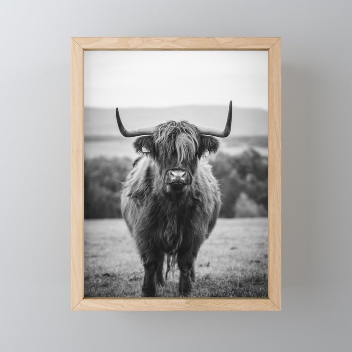 Framed Mini Art Print