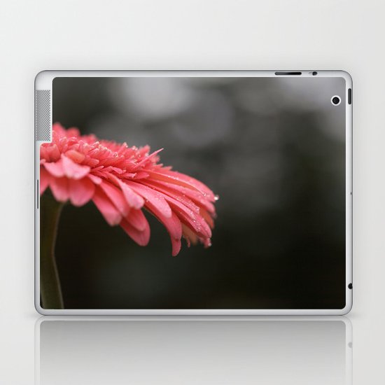 Daisy Laptop & iPad Skin