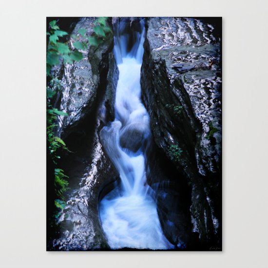 Rush Canvas Print