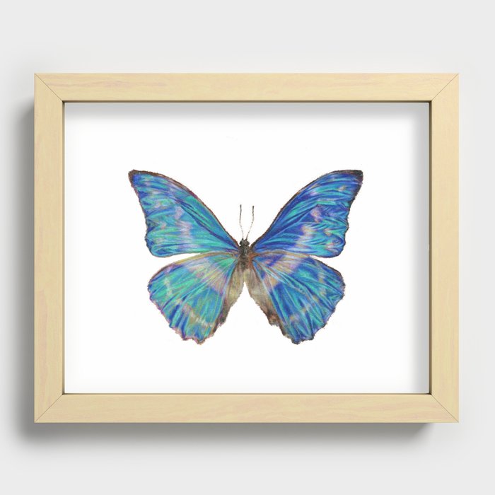 Blue Butterfly Drawing Recessed Framed Print