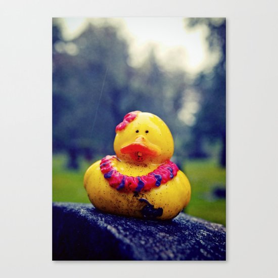 Lonely duck Canvas Print