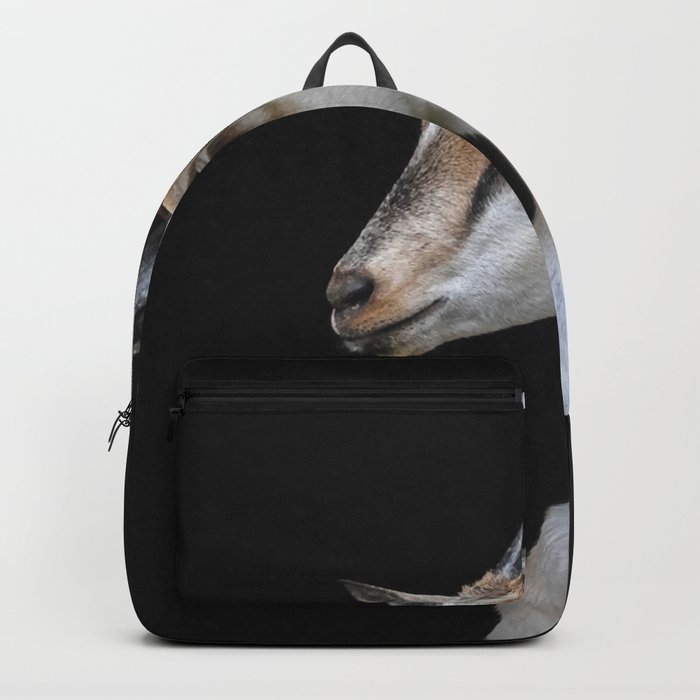 Young Alpine Mountain Goat Portrait Black  Backpack