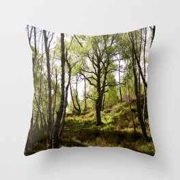 Scottish Highlands Light and Shadow in the Spring. Throw Pillow