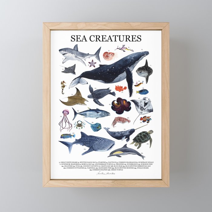 SEA CREATURES poster with names Framed Mini Art Print