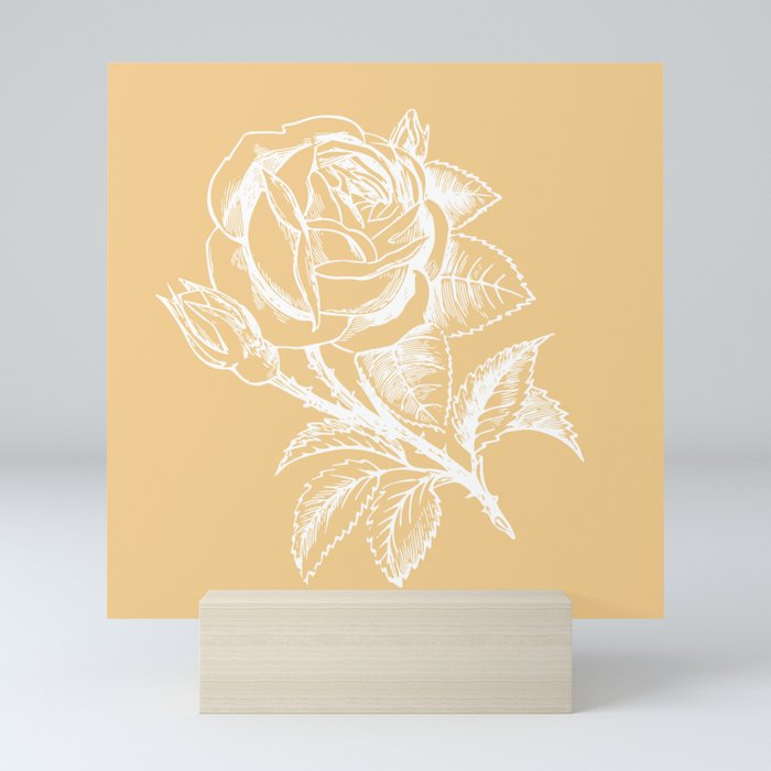 Cream Rose White Rose Flower Mini Art Print