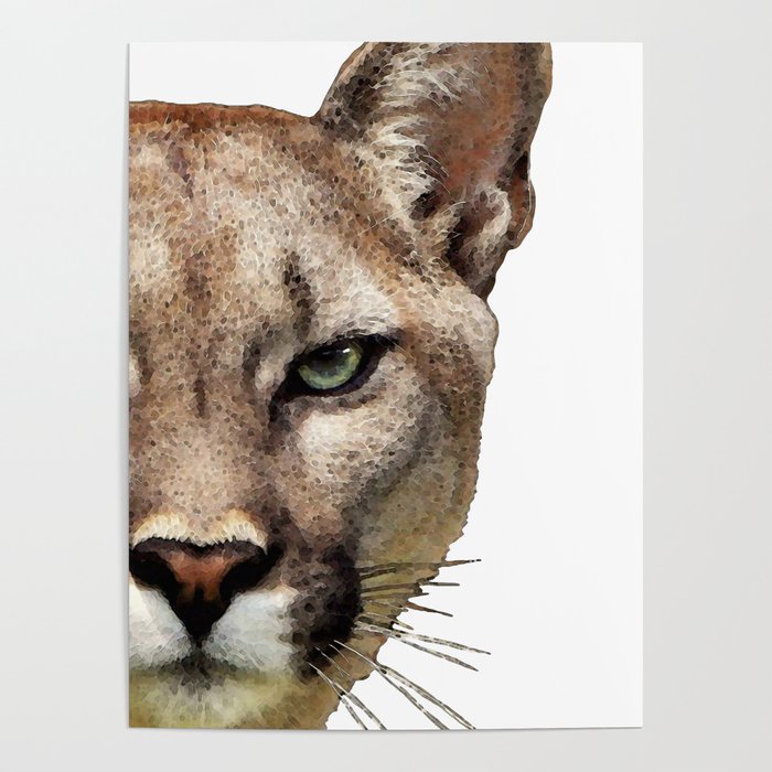 Puma style cat outlet