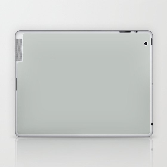 Cloudy Gray Laptop & iPad Skin