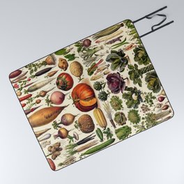 Adolphe Millot Vegetables Vintage Scientific Illustration Encyclopedia Illustration Lithograph  Picnic Blanket