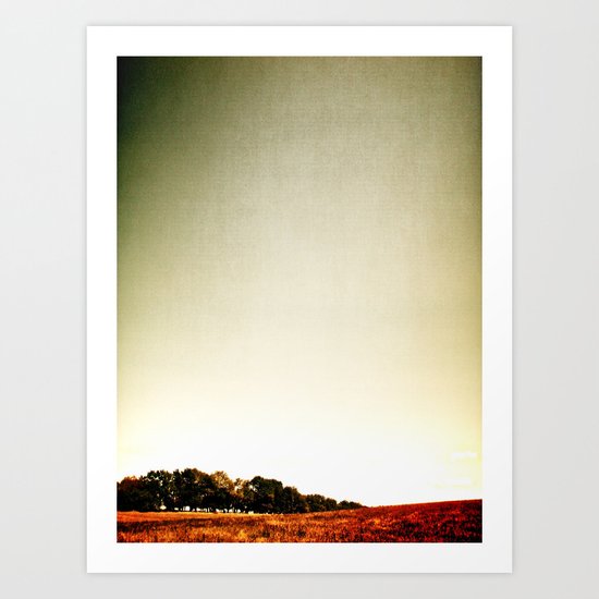 In the Air Art Print