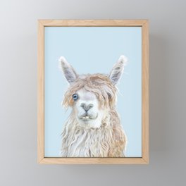 Llama Head on a Blue Background Framed Mini Art Print