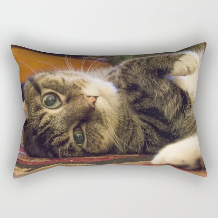 Catnip Cat Rectangular Pillow