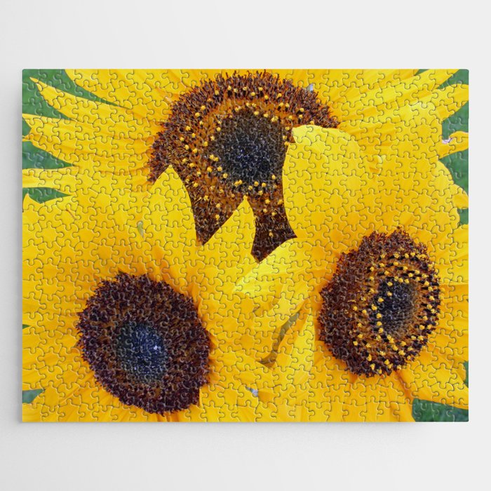 Sunflower Trio Jigsaw Puzzle