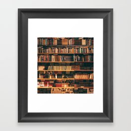 New York City Library Framed Art Print