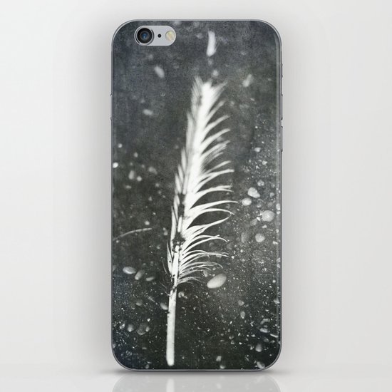 Feather on Black Sand Beach iPhone & iPod Skin