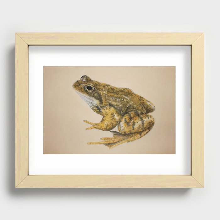  frog Recessed Framed Print
