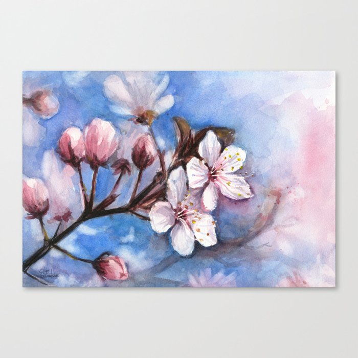 Cherry Blossoms Watercolor Spring Flowers Canvas Print By Olechka