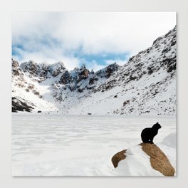Argentina Photography - A Black Cat In The Snowy Mountain Terrain Canvas Print