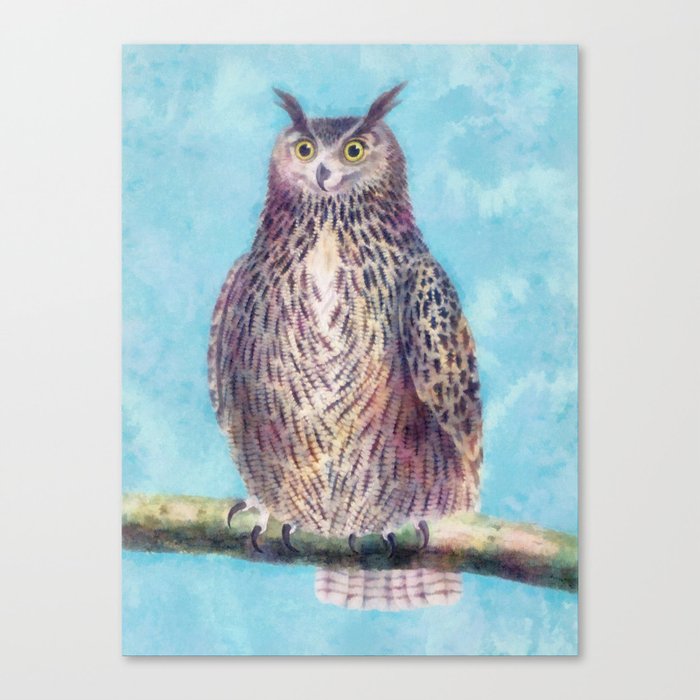 Mr. Owl Canvas Print