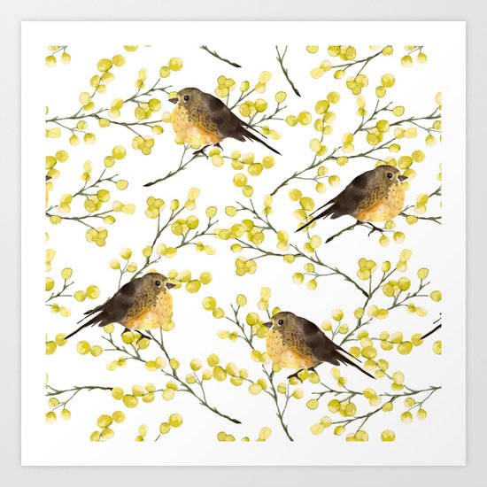 Mimosa and birds Art Print