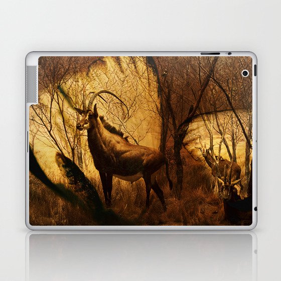 Diorama :: Antelope Laptop & iPad Skin