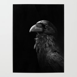 Crows Smile Poster