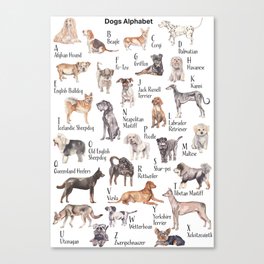 Dogs Alphabet Canvas Print