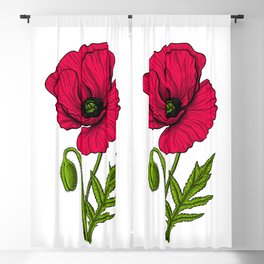 Red poppy drawing Blackout Curtain