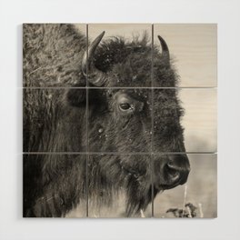 Profile of a Bison - Black and White Portrait of Buffalo on the Tallgrass Prairie in Oklahoma Wood Wall Art