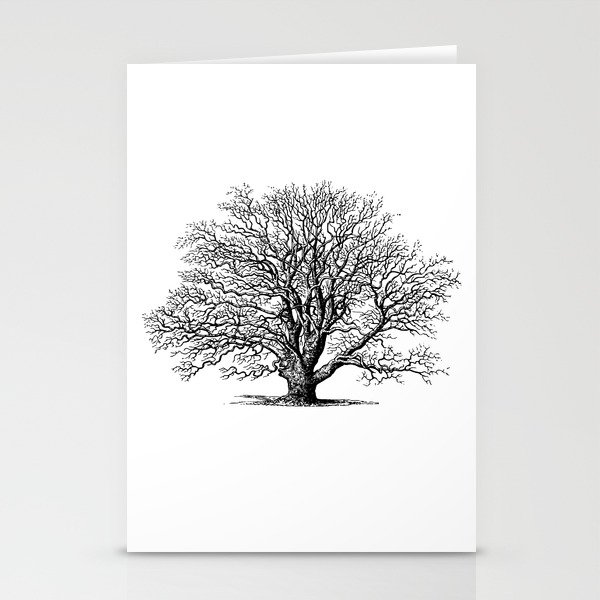 oak tree botanical no2 Stationery Cards