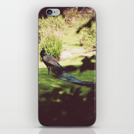 Peacock iPhone & iPod Skin